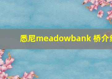 悉尼meadowbank 桥介绍